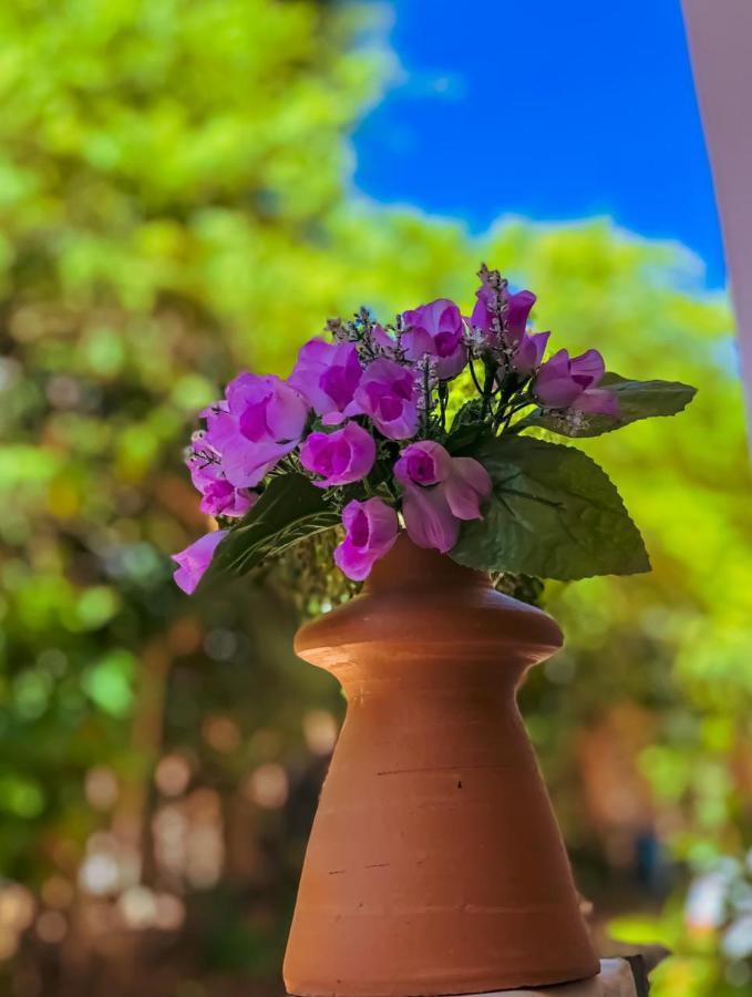 מורו דה סאו פאולו Pousada Vila Do Sossego מראה חיצוני תמונה